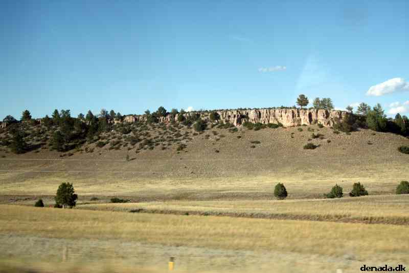 * Image 198