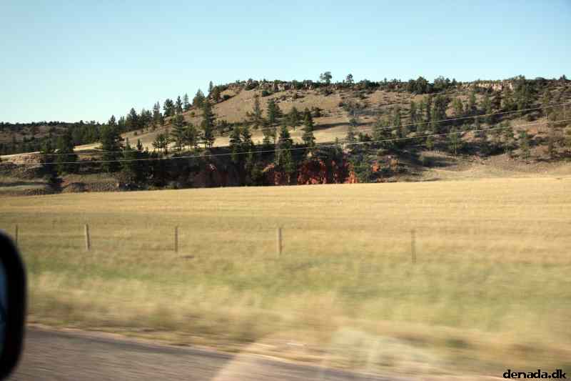 * Image 199
