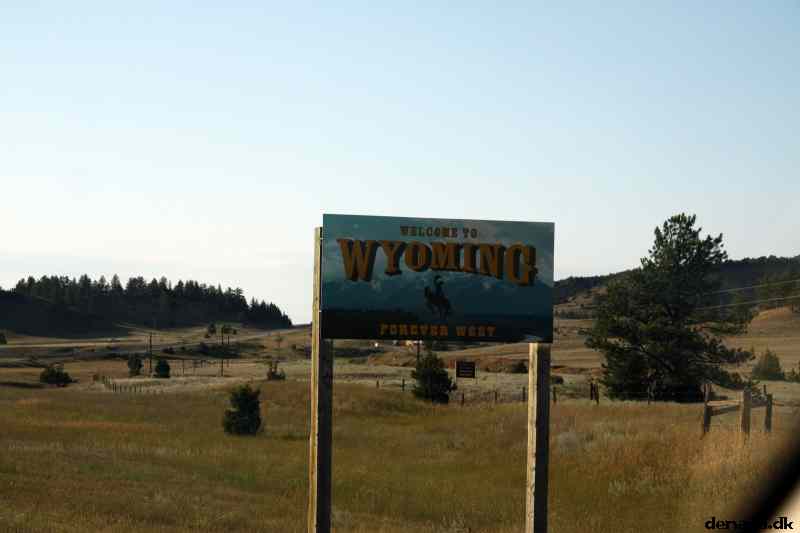 * Image 201