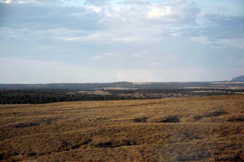 * Image 230