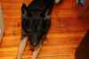200912060012m.jpg - 2009:12:06 15:15:43