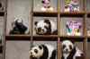 200912060041m.jpg - 2009:12:06 16:53:47