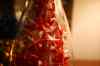 200912060049m.jpg - 2009:12:06 16:57:51
