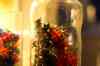200912060050m.jpg - 2009:12:06 16:58:13