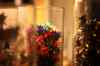 200912060051m.jpg - 2009:12:06 16:58:17