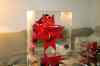 200912060059m.jpg - 2009:12:06 17:00:39