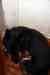 200912060038m.jpg - 2009:12:06 16:53:19