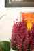 200912060080m.jpg - 2009:12:06 17:06:54