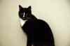 200912180007m.jpg - 2009:12:18 21:52:39