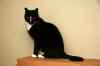 200912180008m.jpg - 2009:12:18 21:52:46