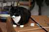 200912180011m.jpg - 2009:12:18 22:29:08