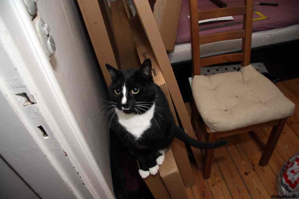 * Image 3