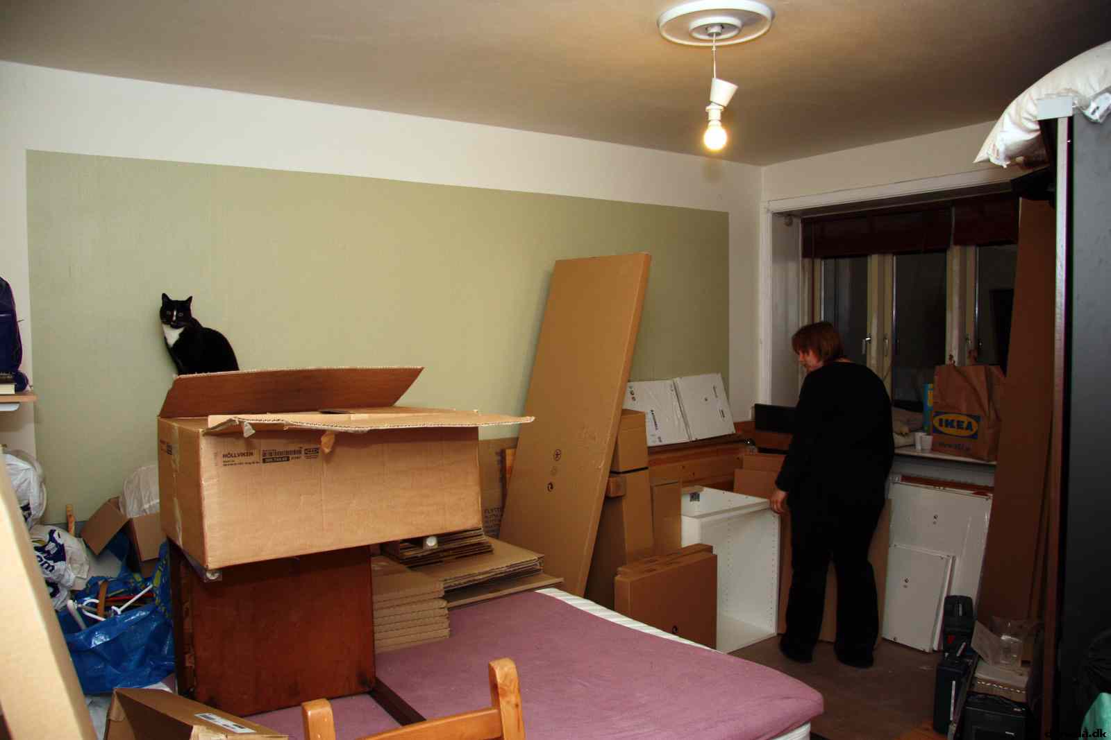 * Image 6
