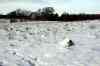 200912190006m.jpg - 2009:12:19 14:33:56