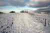 200912190010m.jpg - 2009:12:19 14:35:34