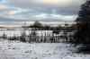 200912190012m.jpg - 2009:12:19 14:36:14