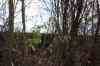 200912190022m.jpg - 2009:12:19 14:44:03