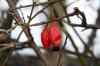 200912190026m.jpg - 2009:12:19 14:44:47