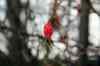 200912190031m.jpg - 2009:12:19 14:45:23