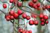 200912190048m.jpg - 2009:12:19 14:48:43