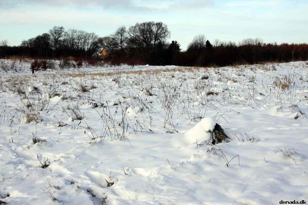 * Image 5