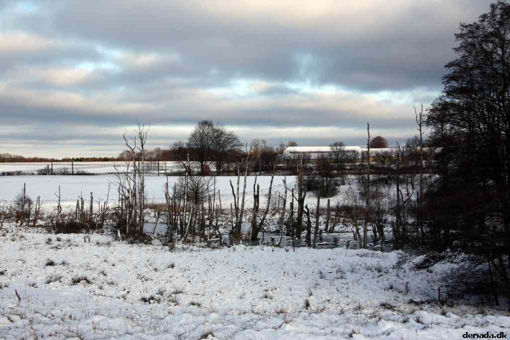 * Image 9
