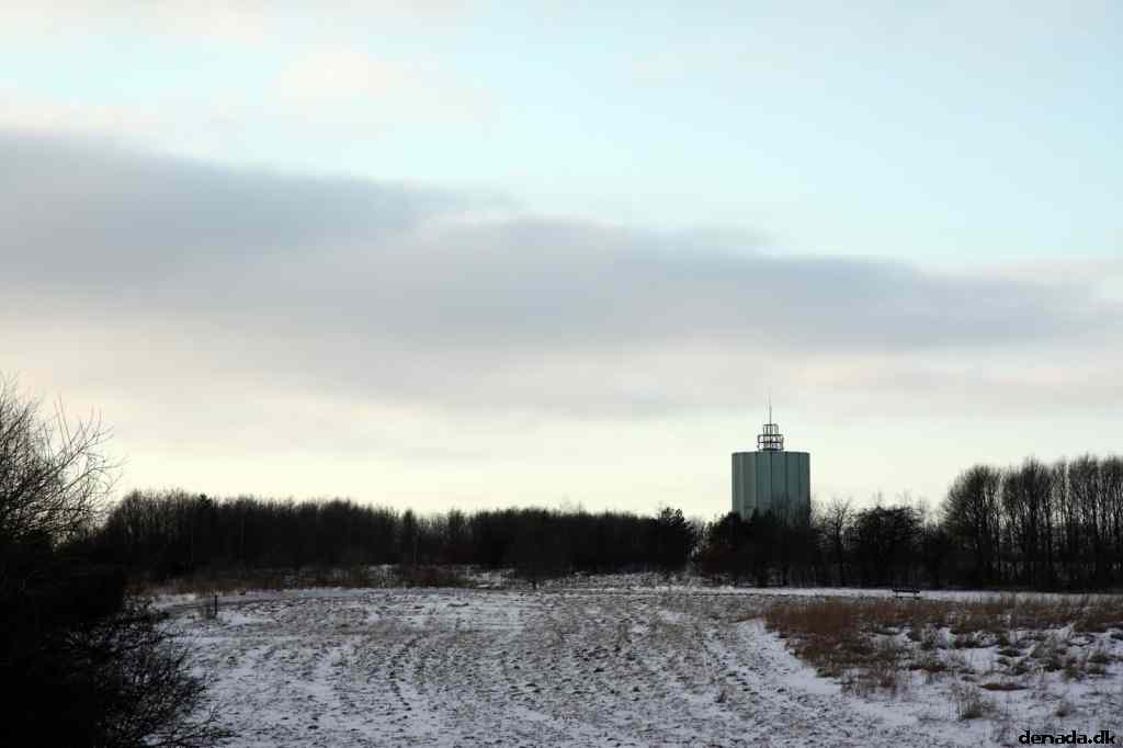 * Image 11