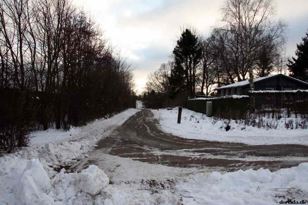 * Image 12
