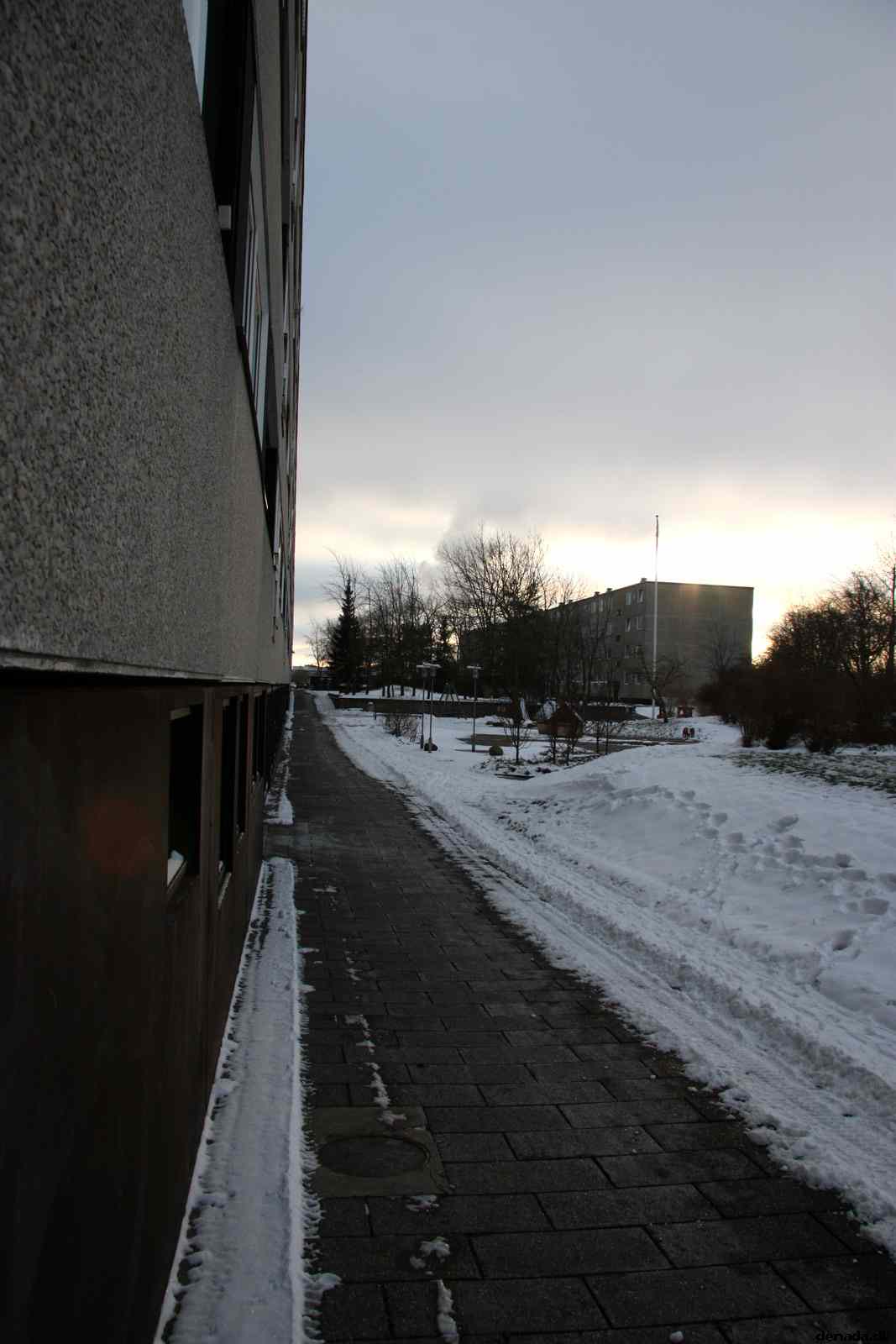 * Image 25