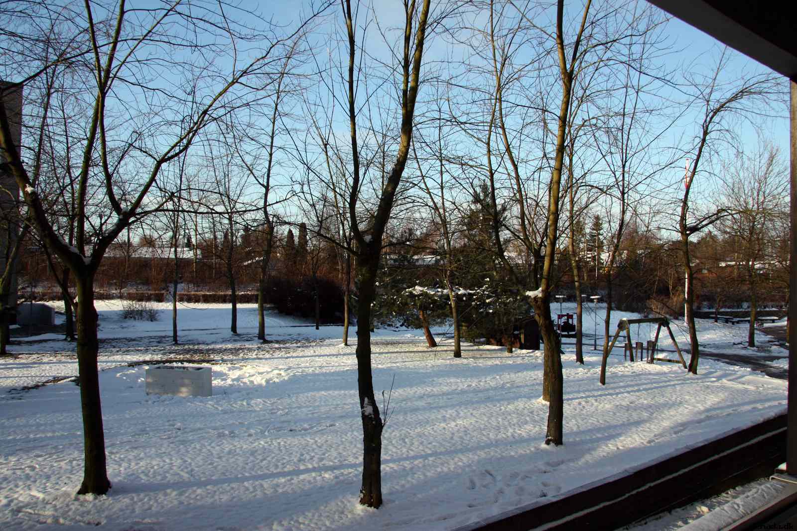 * Image 1