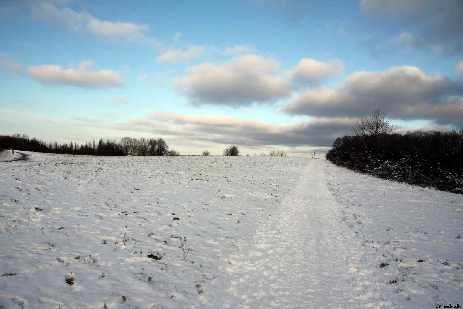 * Image 4
