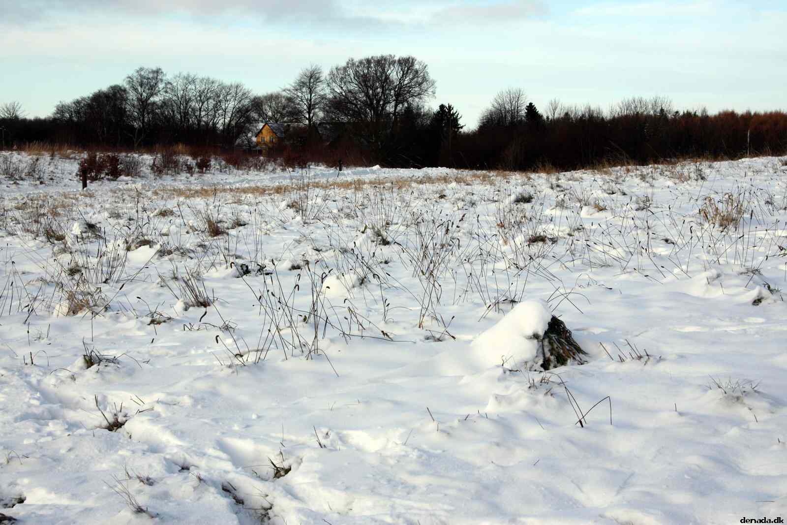* Image 5