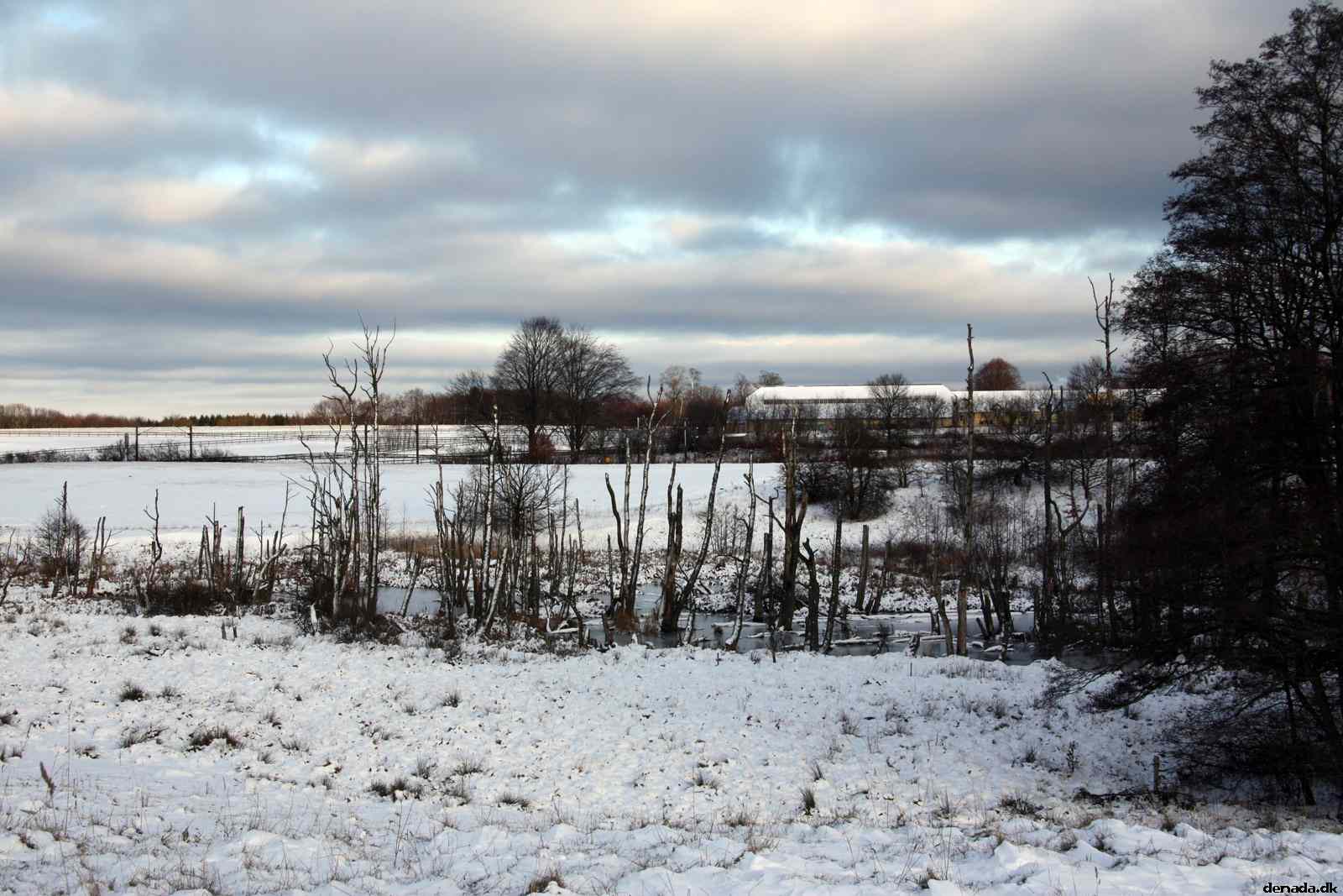* Image 9