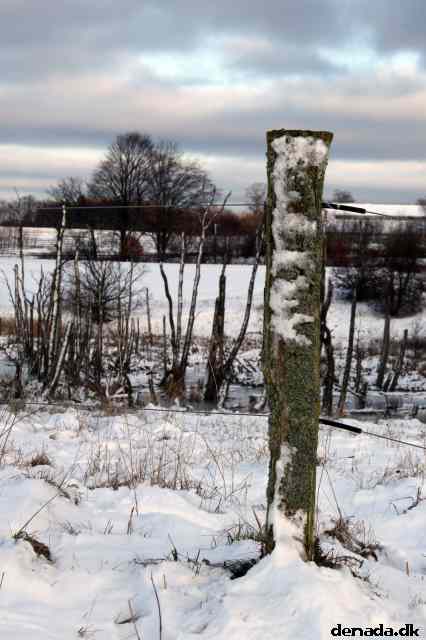 * Image 10