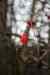 200912190033m.jpg - 2009:12:19 14:45:39