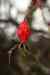 200912190034m.jpg - 2009:12:19 14:45:40