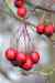 200912190049m.jpg - 2009:12:19 14:48:51