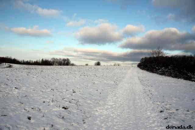 * Image 4