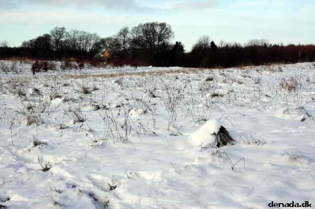 * Image 5