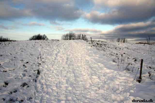 * Image 7