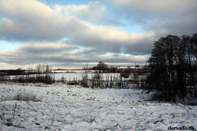 * Image 8