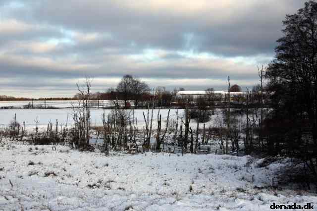 * Image 9