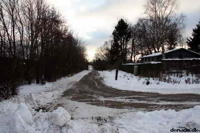 * Image 12