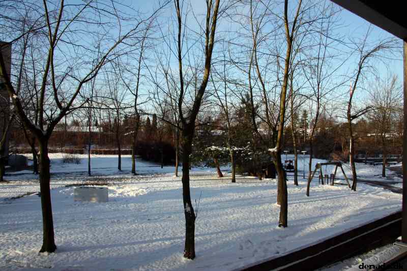 * Image 1