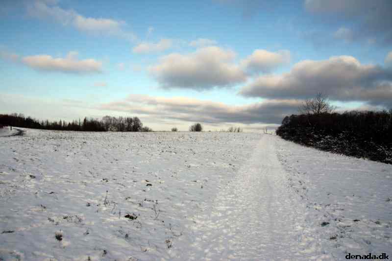 * Image 4