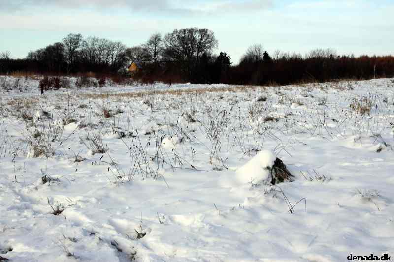 * Image 5