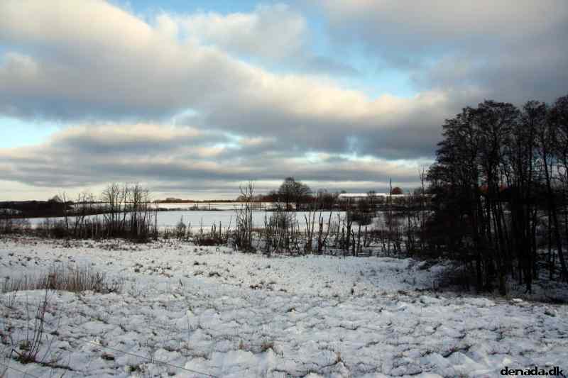* Image 8