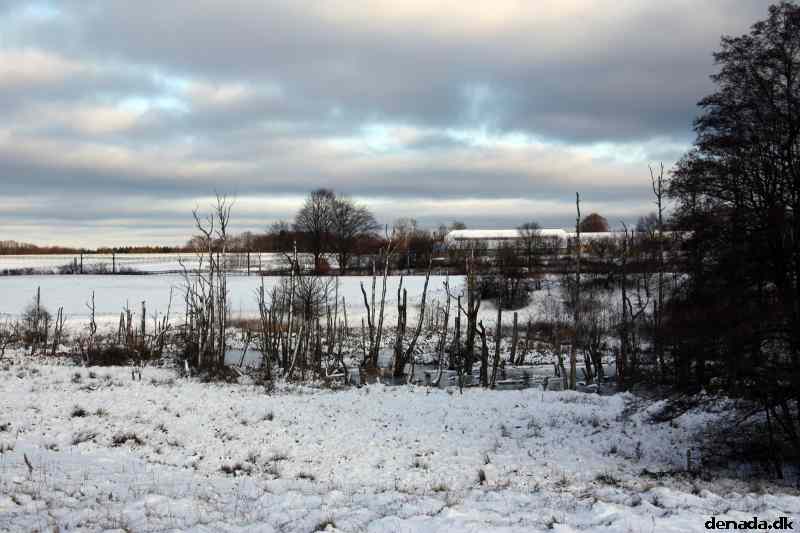 * Image 9