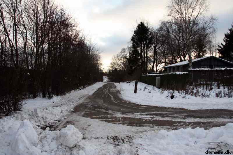 * Image 12