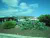 20100124_142115.jpg - 2010:01:24 14:21:15